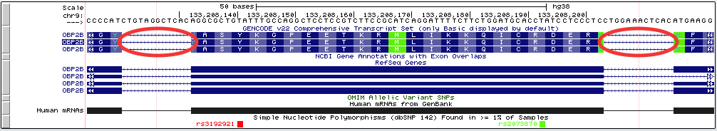 Multi-Region padding