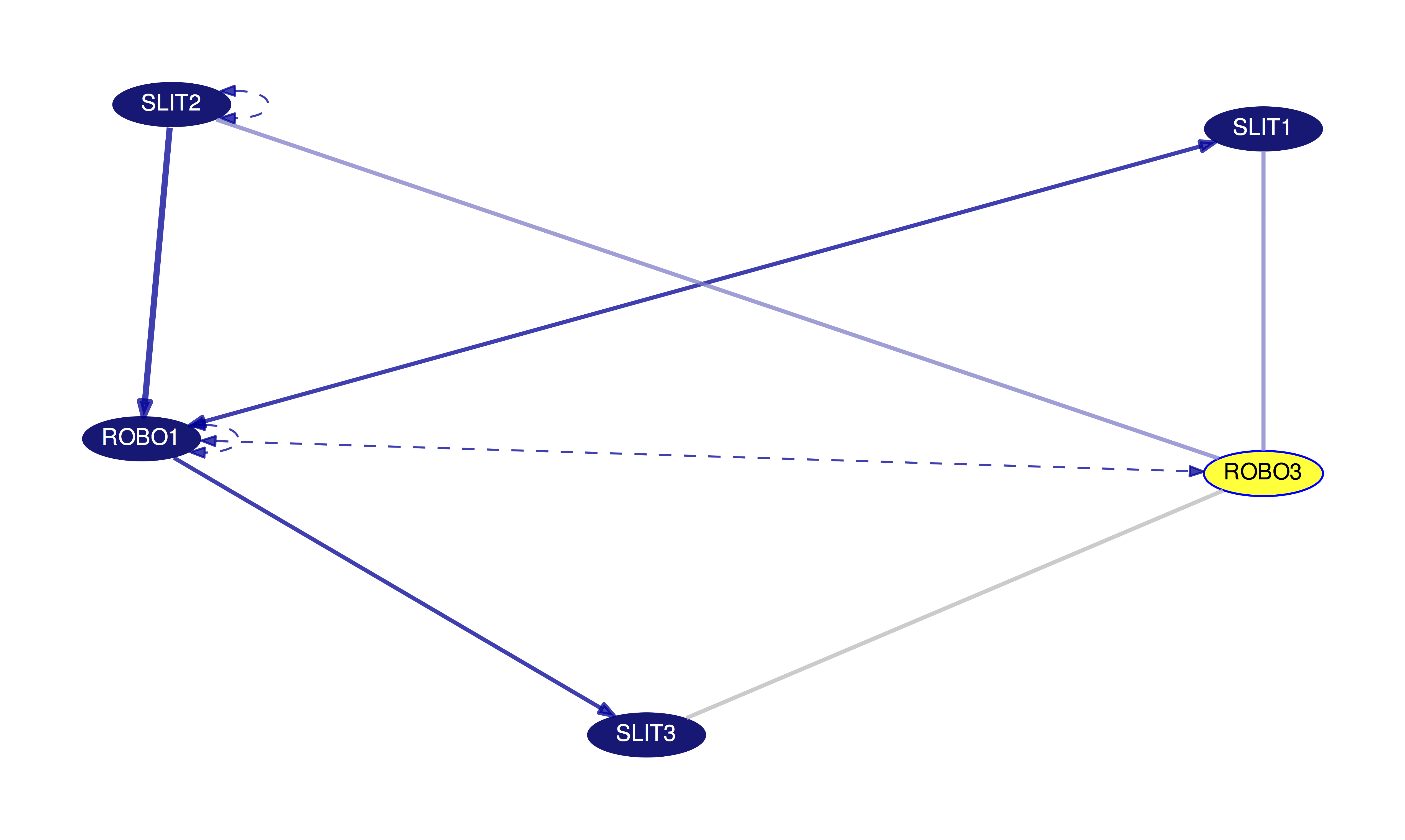 Gene Interaction Graph Line Types